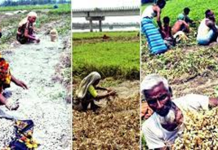 Development and transformed rural landscapes in Bangladesh: The knowledge gap in ‘new rural’