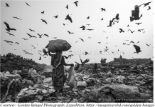 Golden Bengal: Myth or reality