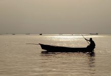 Why Come Back? – For The Social Responsibility