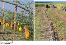 From soil to sustainability: ACI PLC strengthens Bangladesh’s agriculture